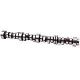 CamshaftFor compatible for Chevy Express compatible for GMC Savana compatible for Hummer H3 4.8L 5.3L 2007-201712625437