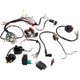 Wire Harness Stator Assembly Wiring Kit ATV Electric Quad compatible for Honda-Style Engine