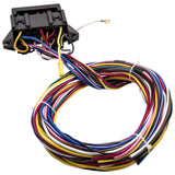 12 Circuit Universal Wiring Harness Muscle Car Hot Rod XL Wires