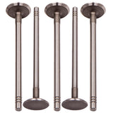 Compatible for Chrysler 300 05-10 300M 99-04 3.5L 215CU. V6 SOHC Exhaust and Intake Valves